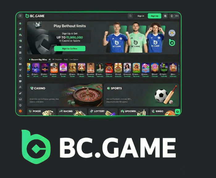 Comprehensive Guide to BC.Game Referral Code -223285104 Comprehensive Guide to BC.Game Referral Code -223285104